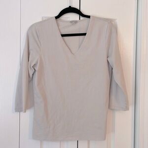 Fitted V Neck Top, Light Gray